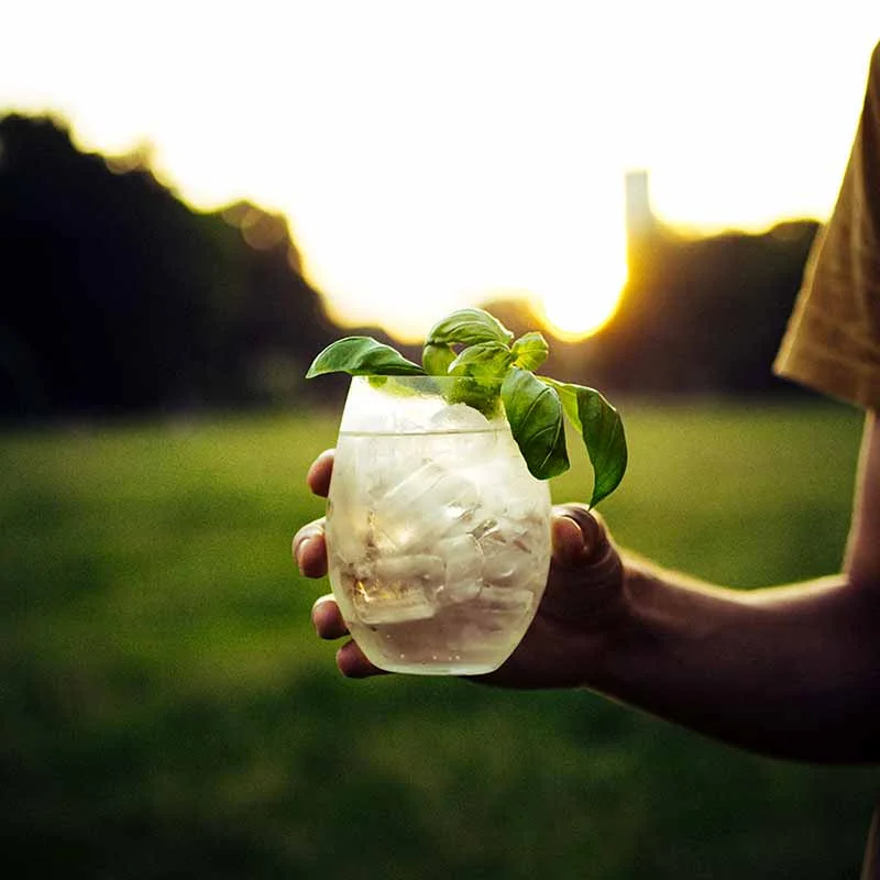 Birds-Basil-Tonic-Recipe.jpg