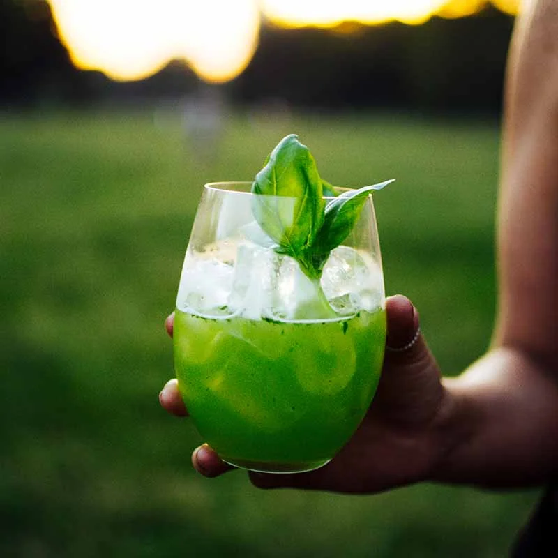 Birds-Basil-Smash-Cocktail-Recipe.jpg