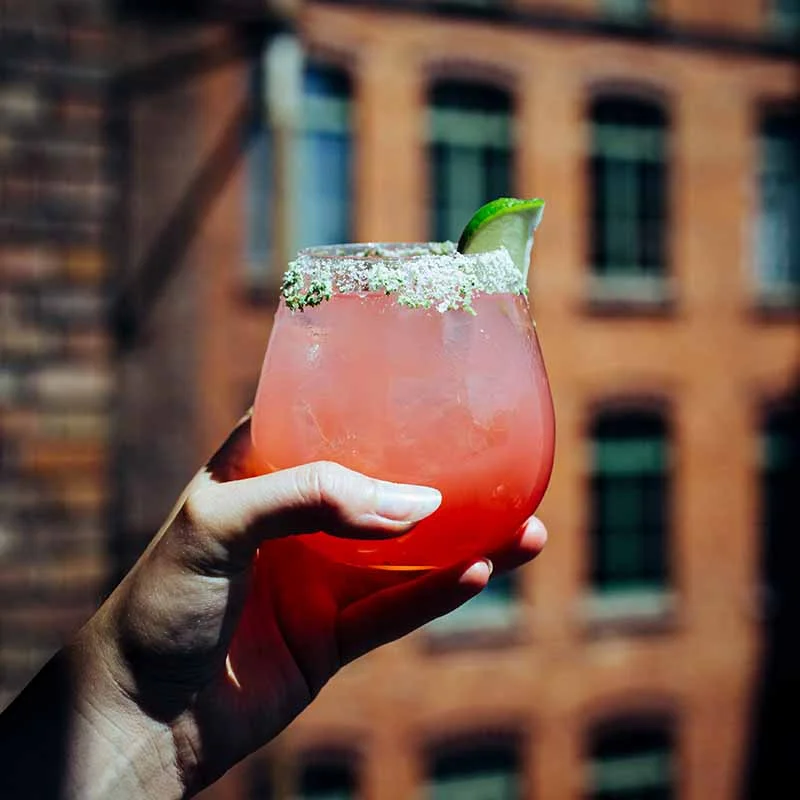 Birdgroni-Cocktail-Recipe.jpg