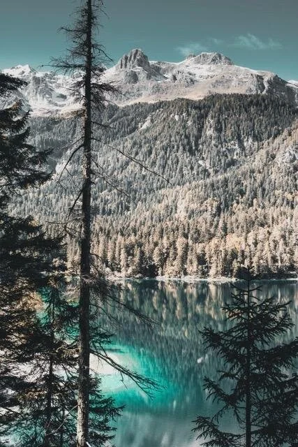 With Tom Jakobs (@tom.jakobs) in South-Tyrol