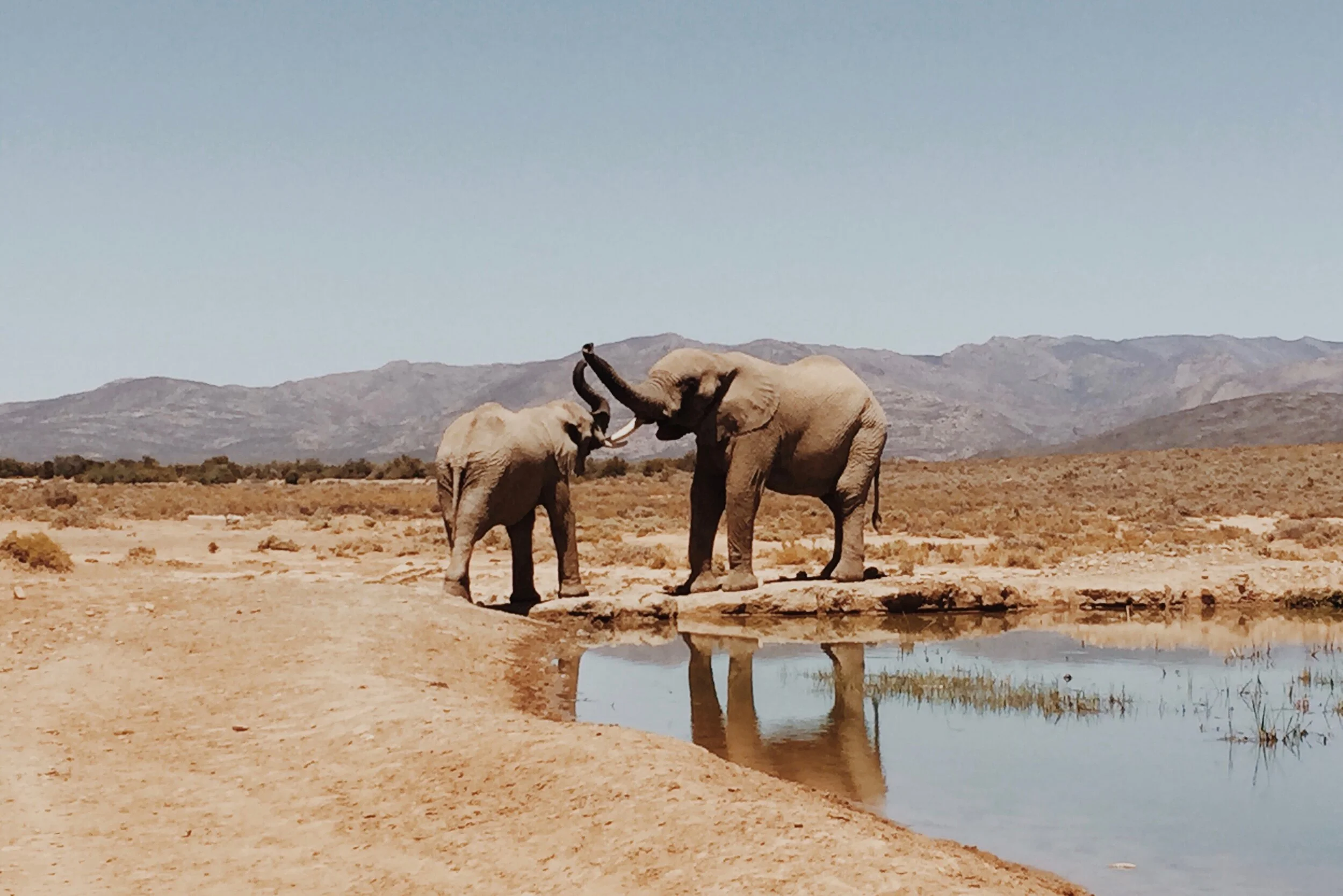 With Philippe Arlt (@philippearlt) in Capetown