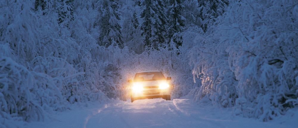 natur_vinter_bilimorket.jpg