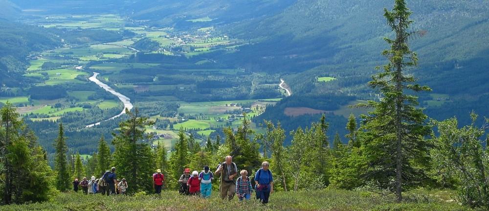 Pilgrimsferd på Lia