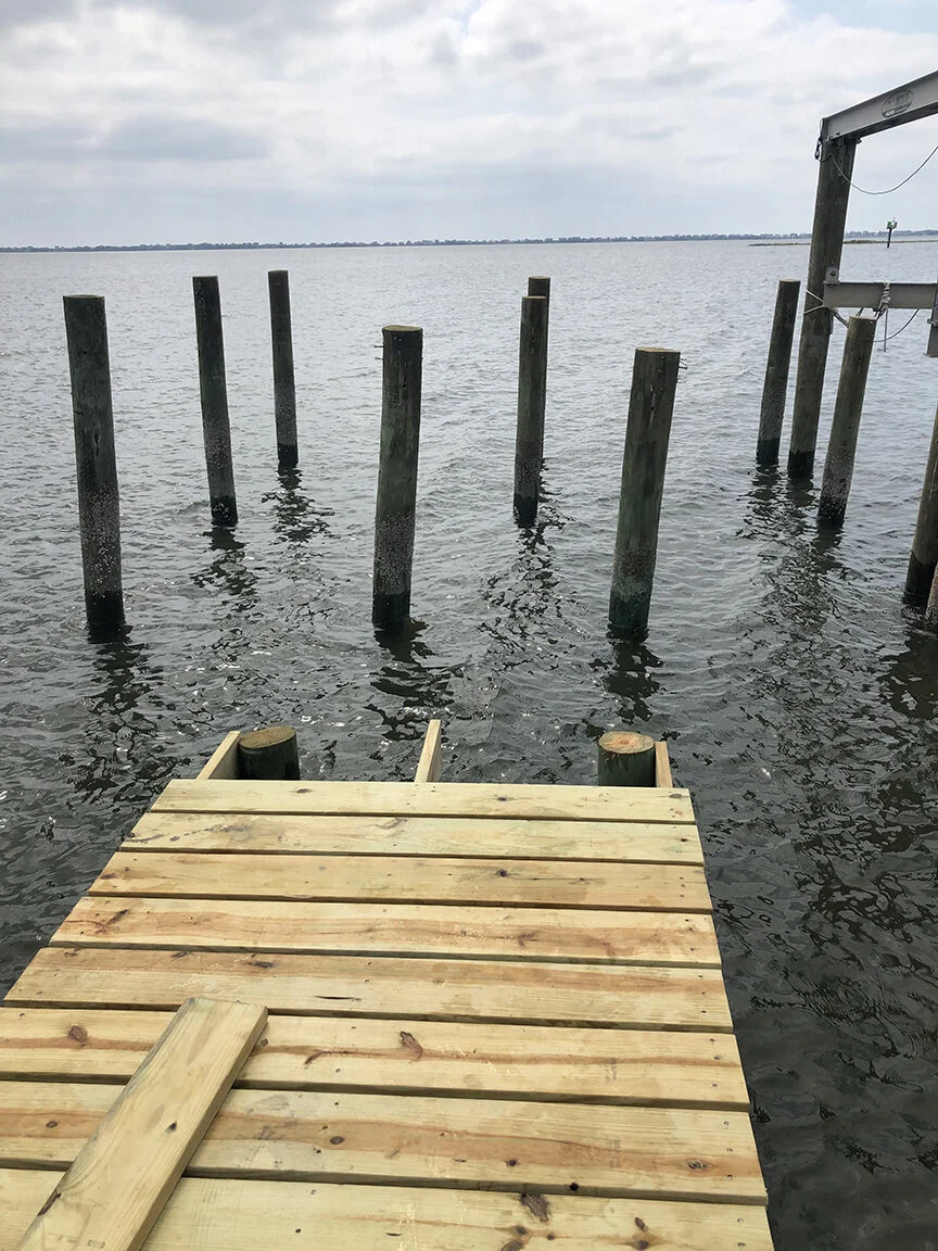 Many days later.jpeg