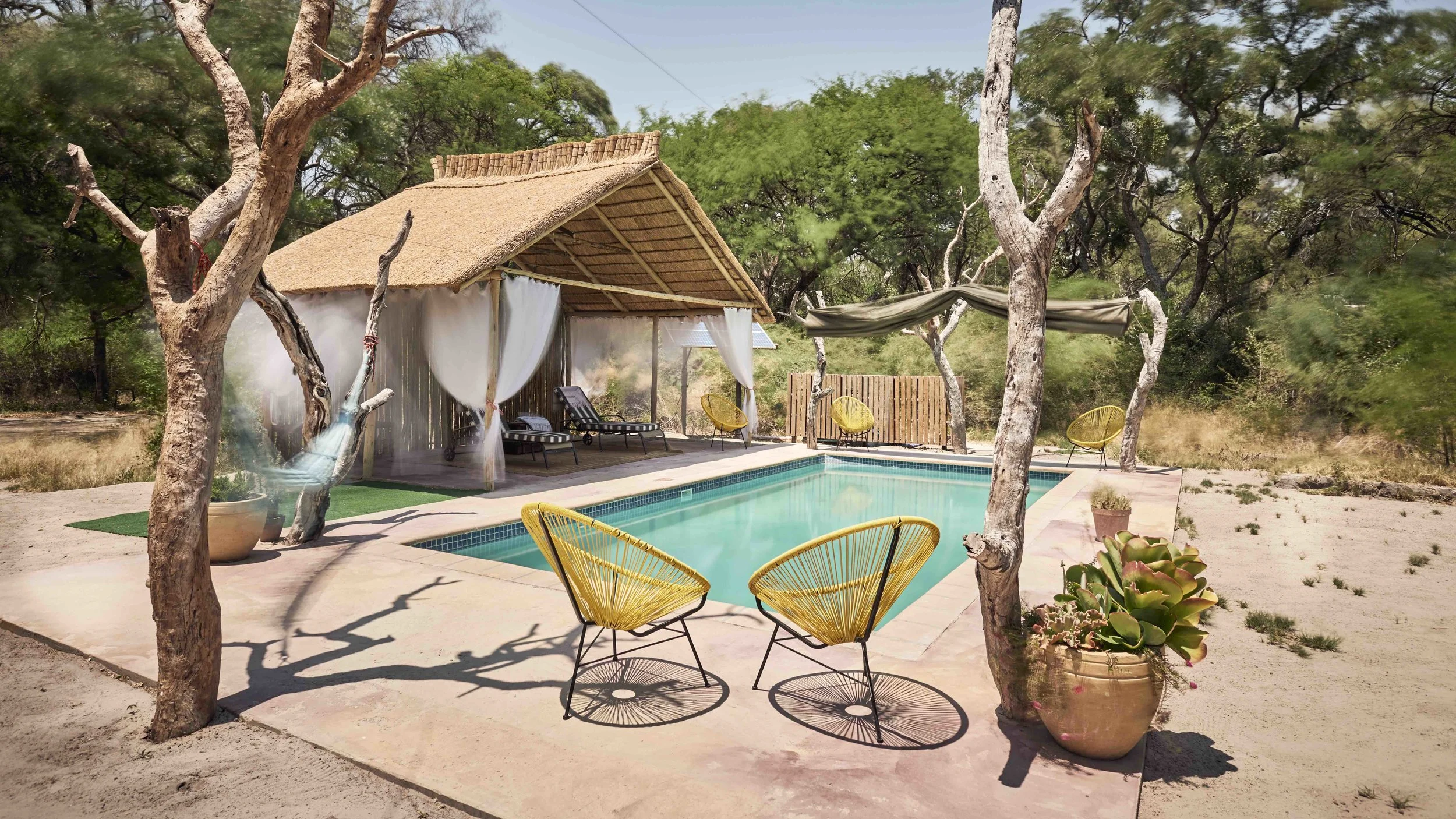 You will feel completely immersed in nature