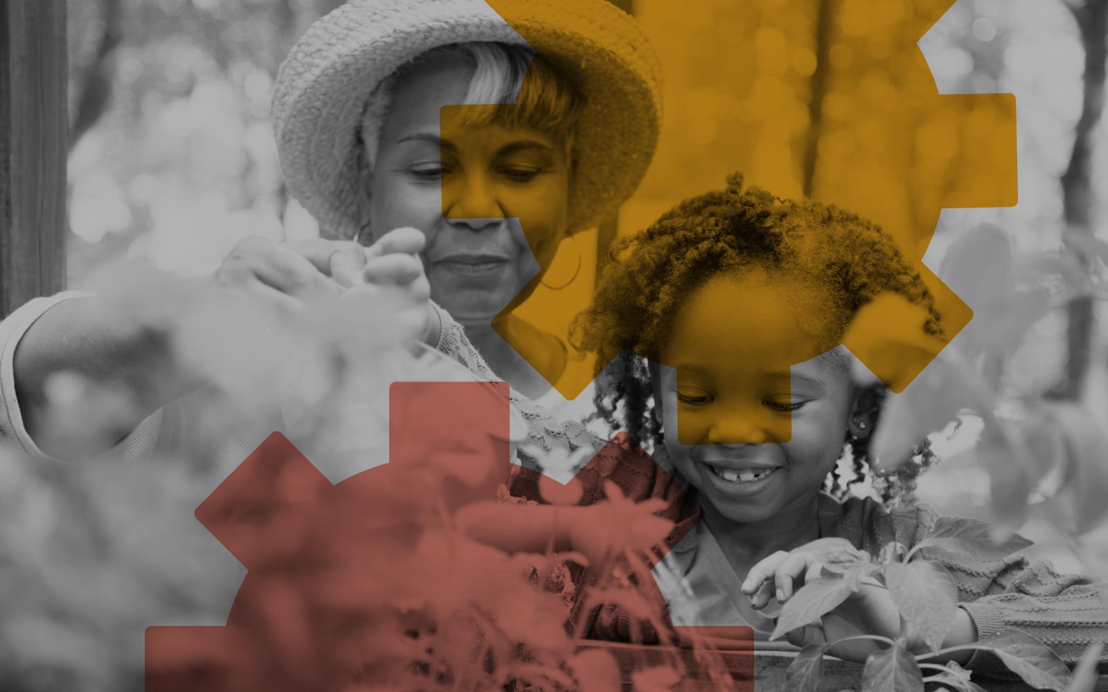 donate-header.jpg