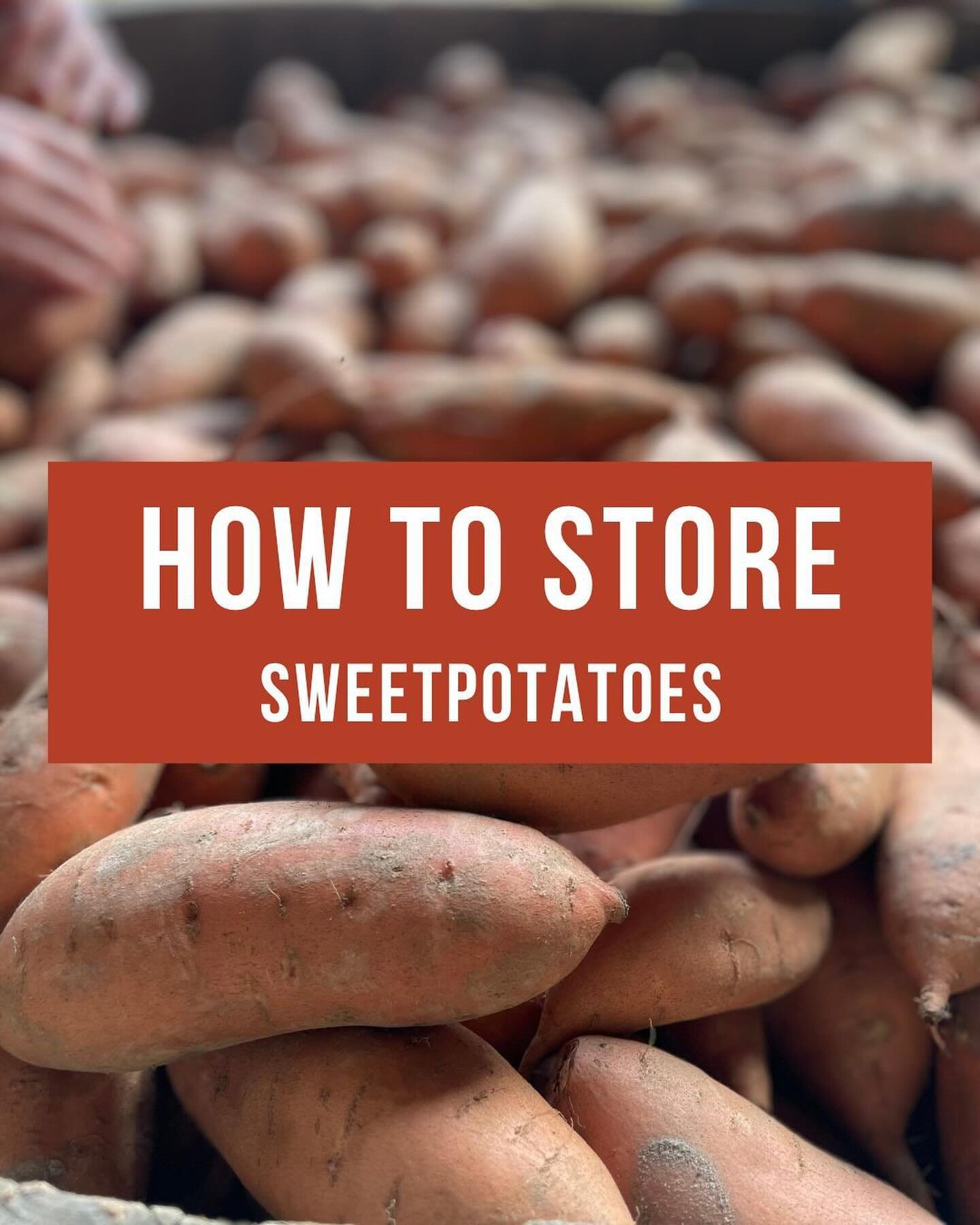 Curious about how to store your sweetpotatoes? We&rsquo;ve got a few tips for you!

#sweetpotatoes #ncsweetpotatoes #ncag #gottobenc #sweetpotatorecipe #sweetpotatofarm #agriculture