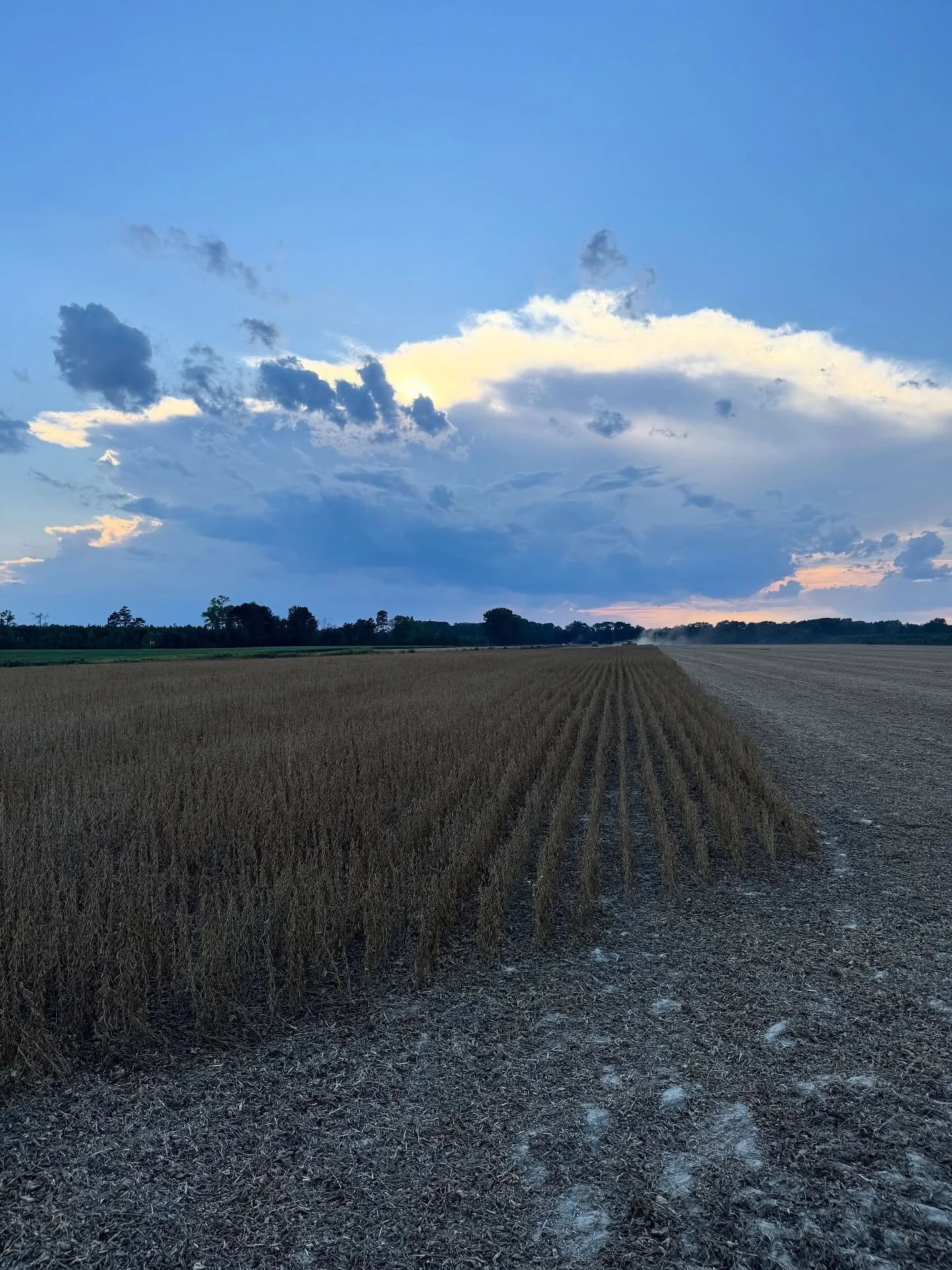Beating the clock to pick soybeans before a storm rolled in last week. Glad it brought much needed rain! 🌱

#soybeans #ncag #familyfarm #gottobenc
