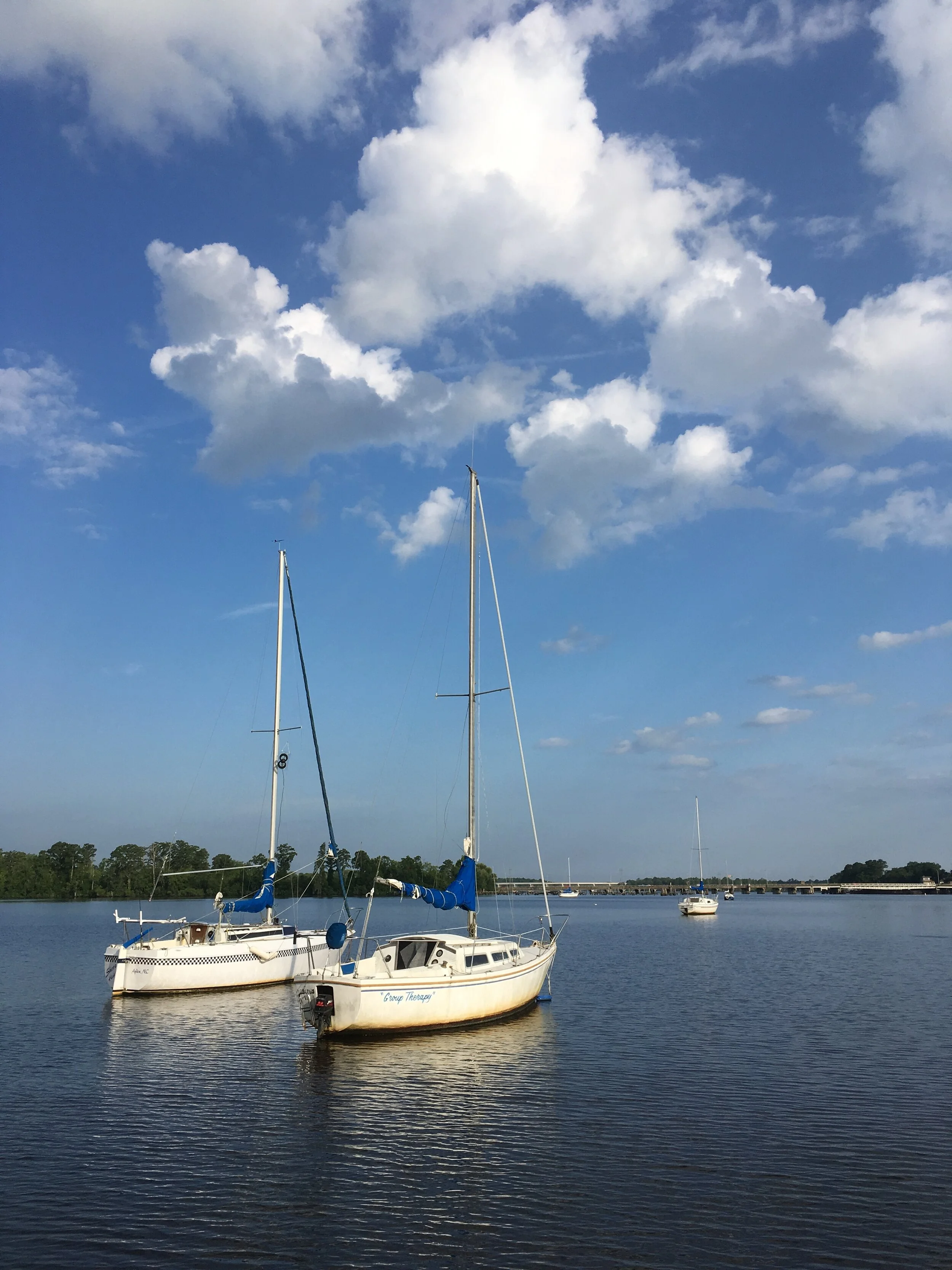 IMG_1342.jpg