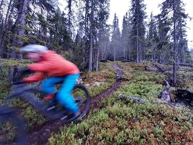 Warp speed out of the woods. For a second we were sucked in. For a second we lost track of time. .
#lifehappensoutside #ridewithguide #trekslash #trekbikesnorge #7bl&aring;ner #canecreek #beitosport #bikebeitost&oslash;len #ridelikeagirl #visitvaldre