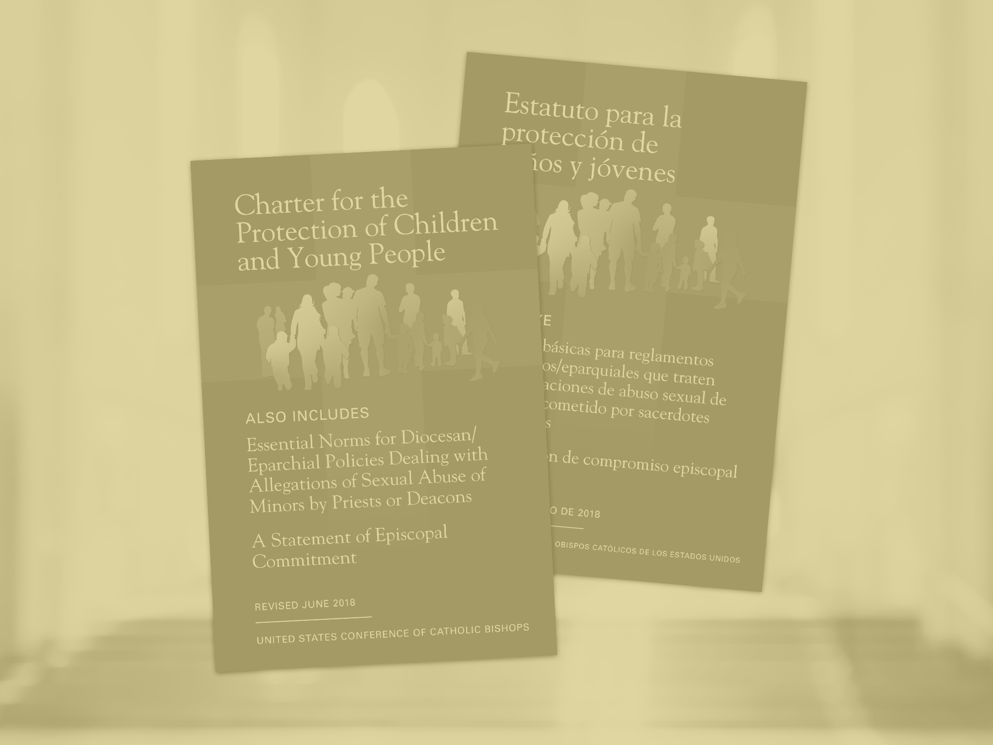 usccb-charter-graphic.png