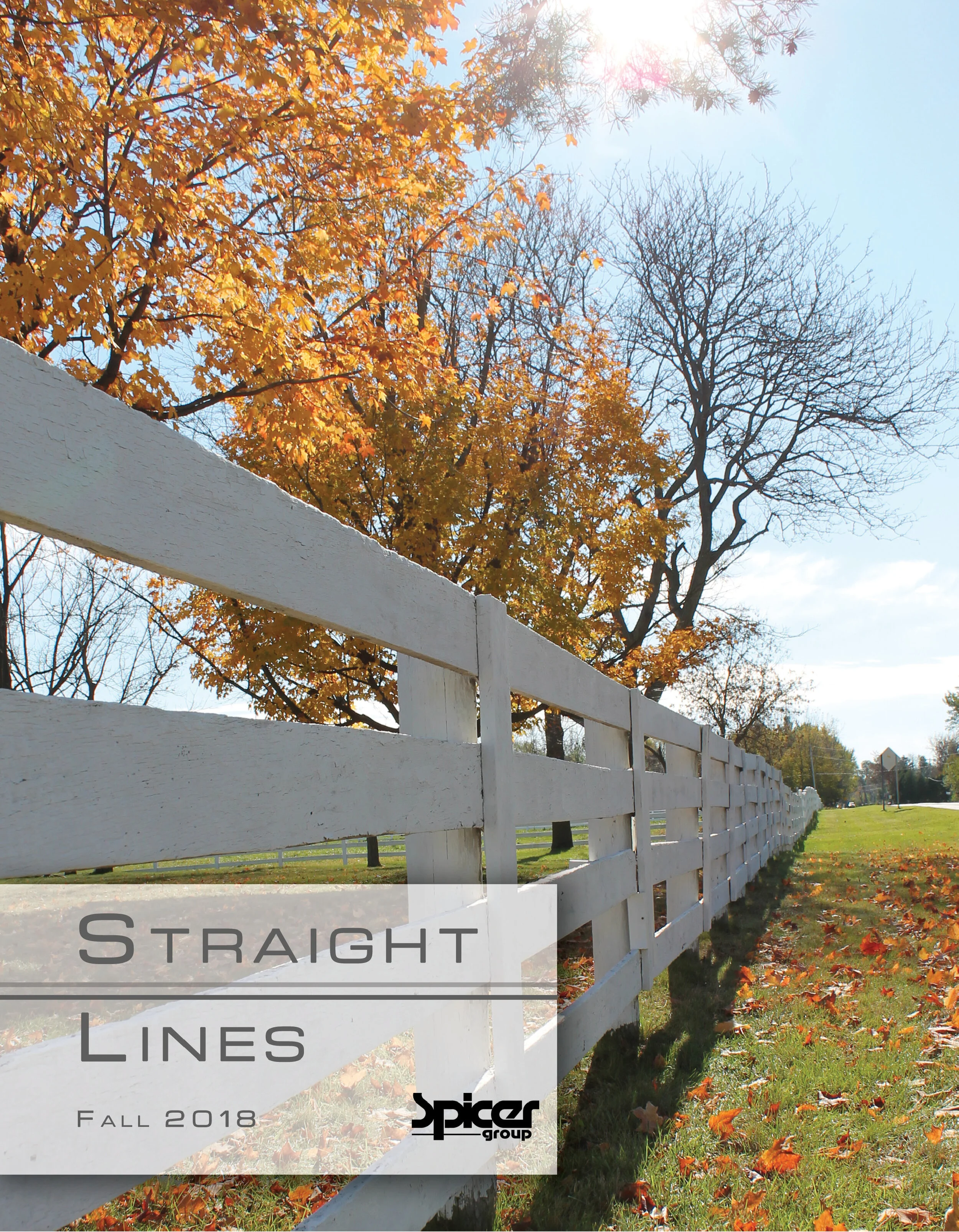 Straight Lines | Fall 2018