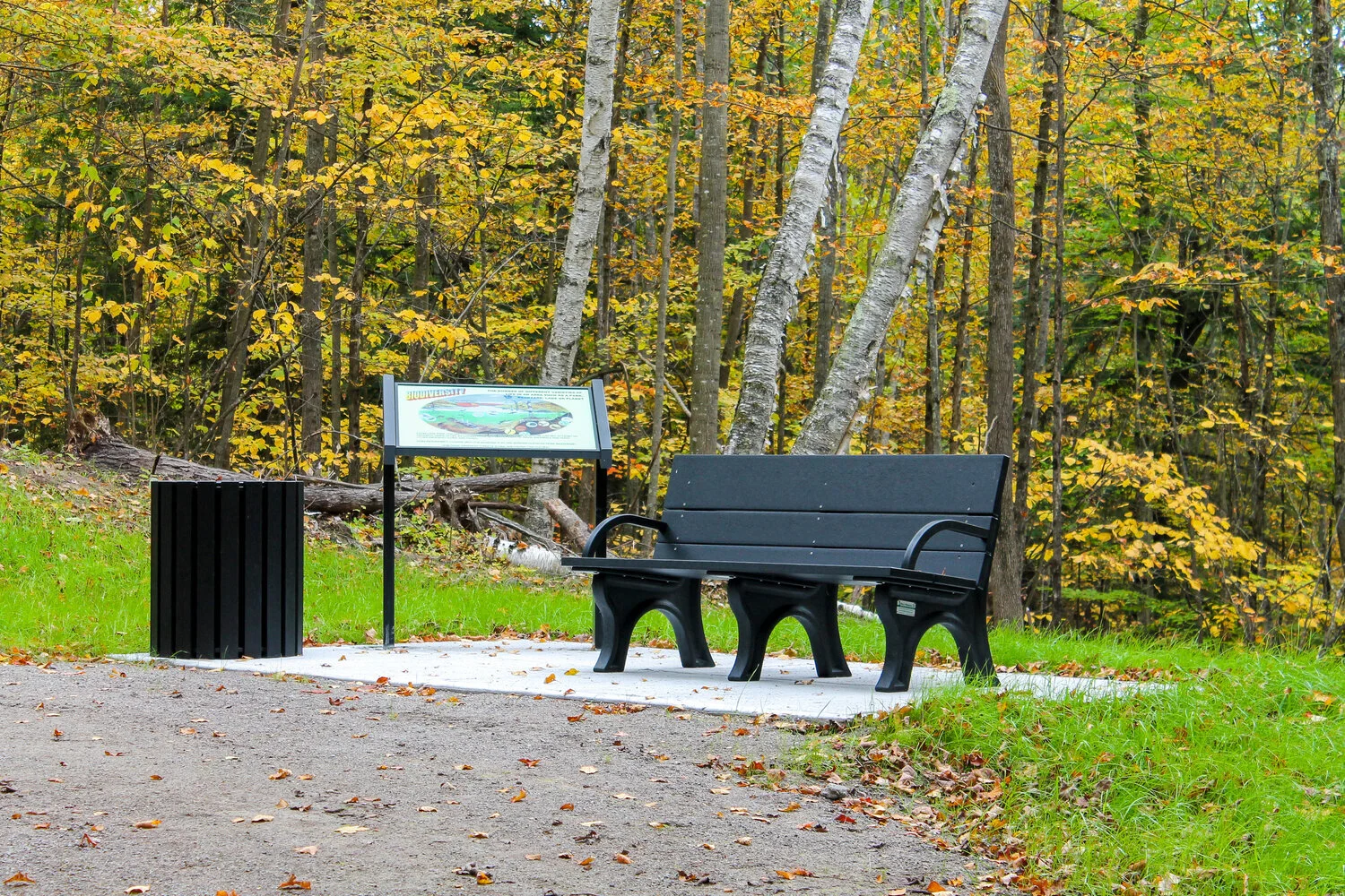 Loon Lake Path Enhancement Complete