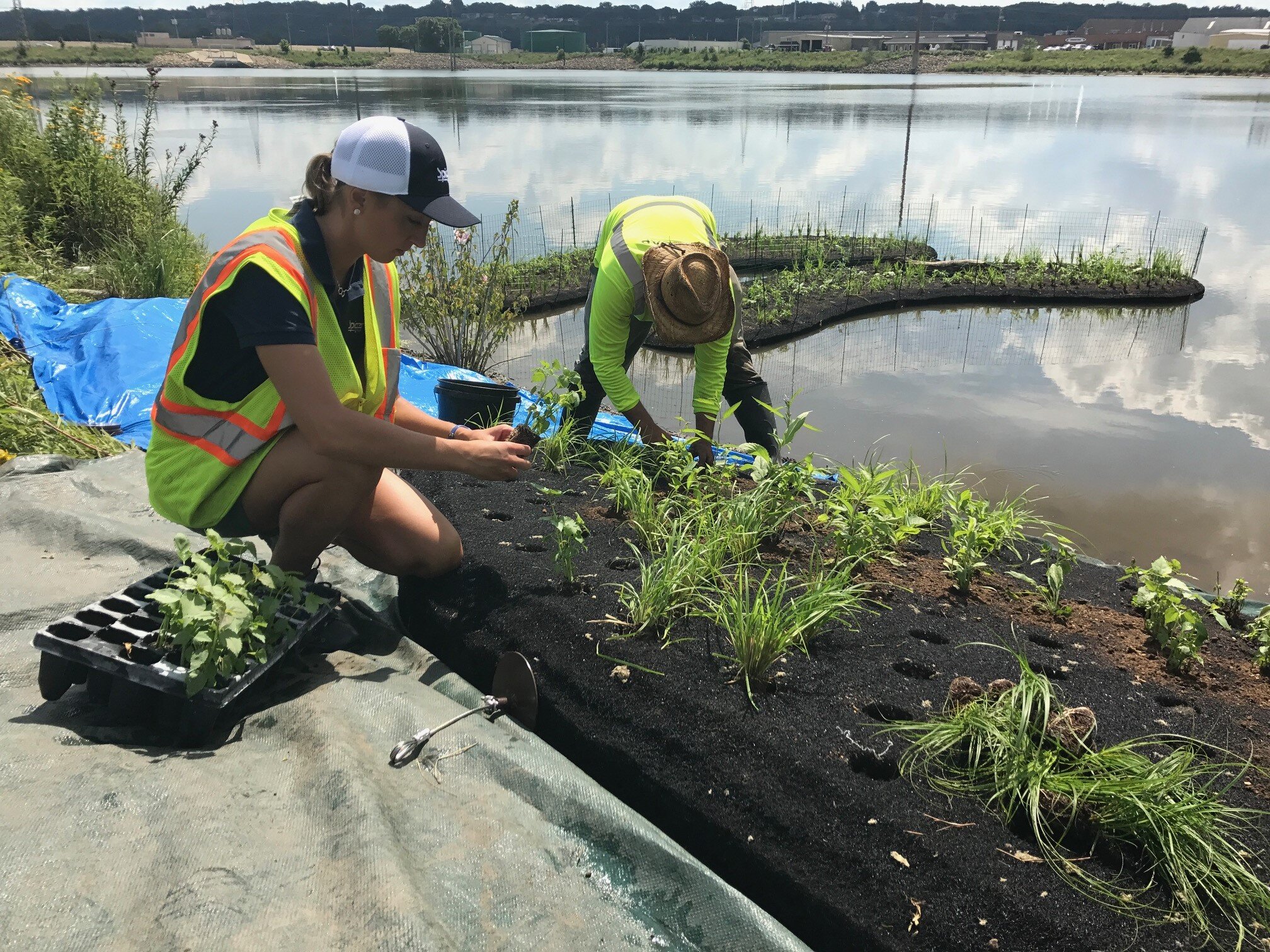  Project Manager Emily Short placing native vegetation for a water resources project. 