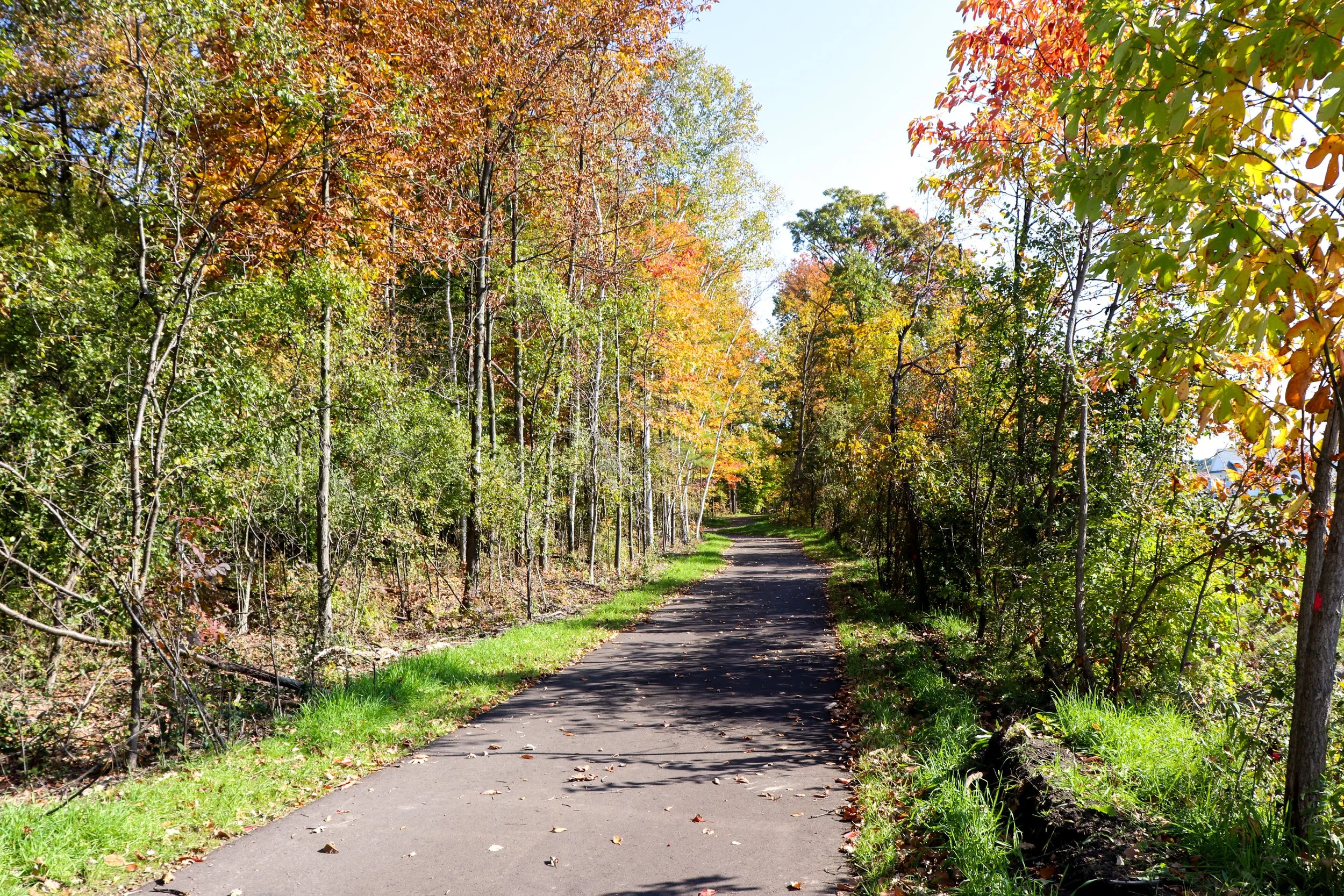 Thomas Township MultiUse Path — Spicer Group