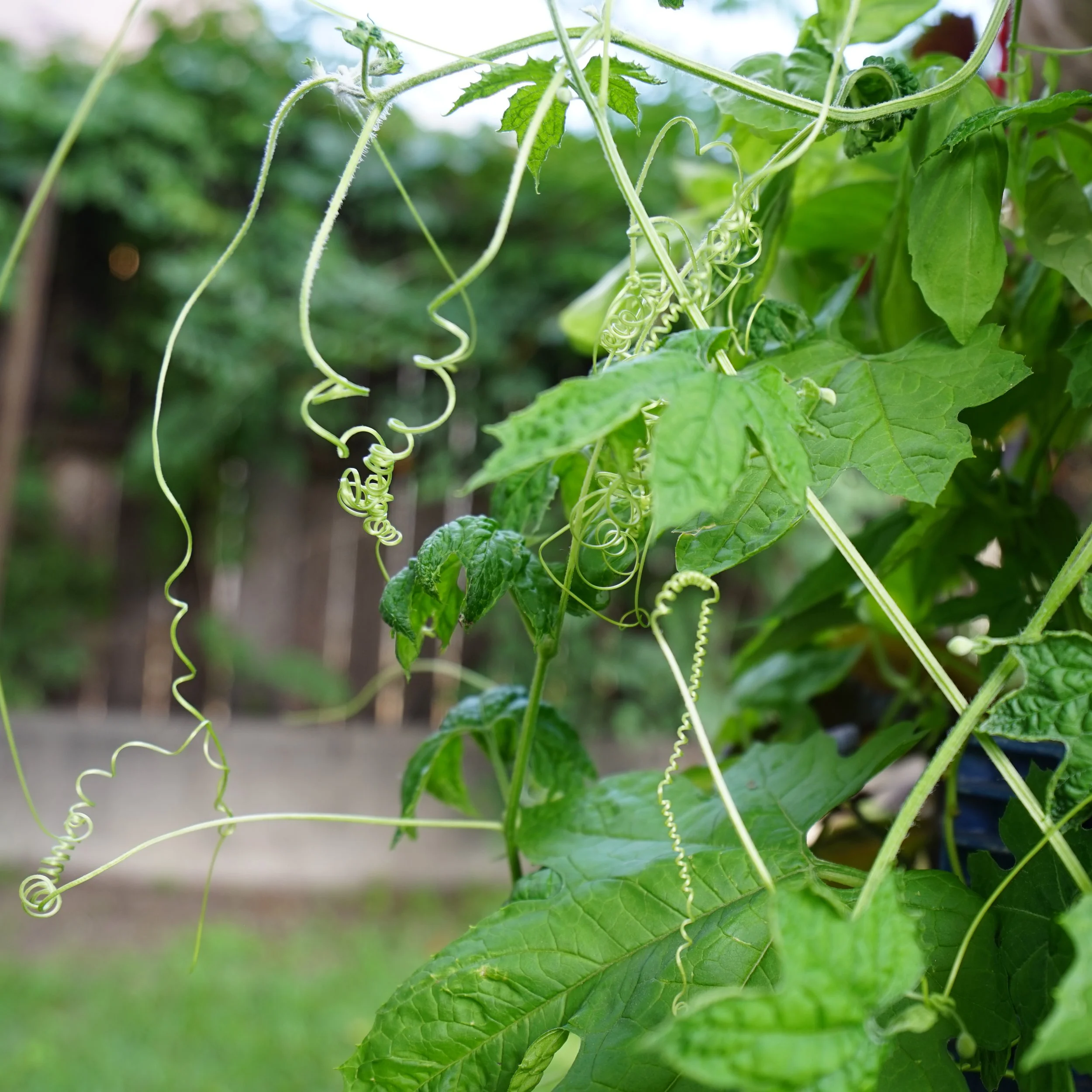 DSC04344 1.jpg
