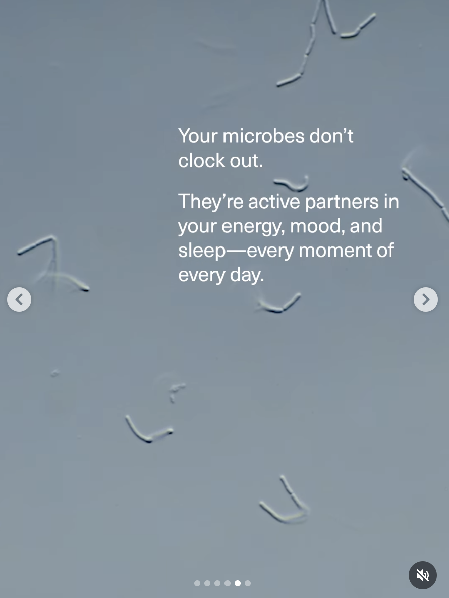 Screenshot 2026-04-02 at 10.04.29 AM.png