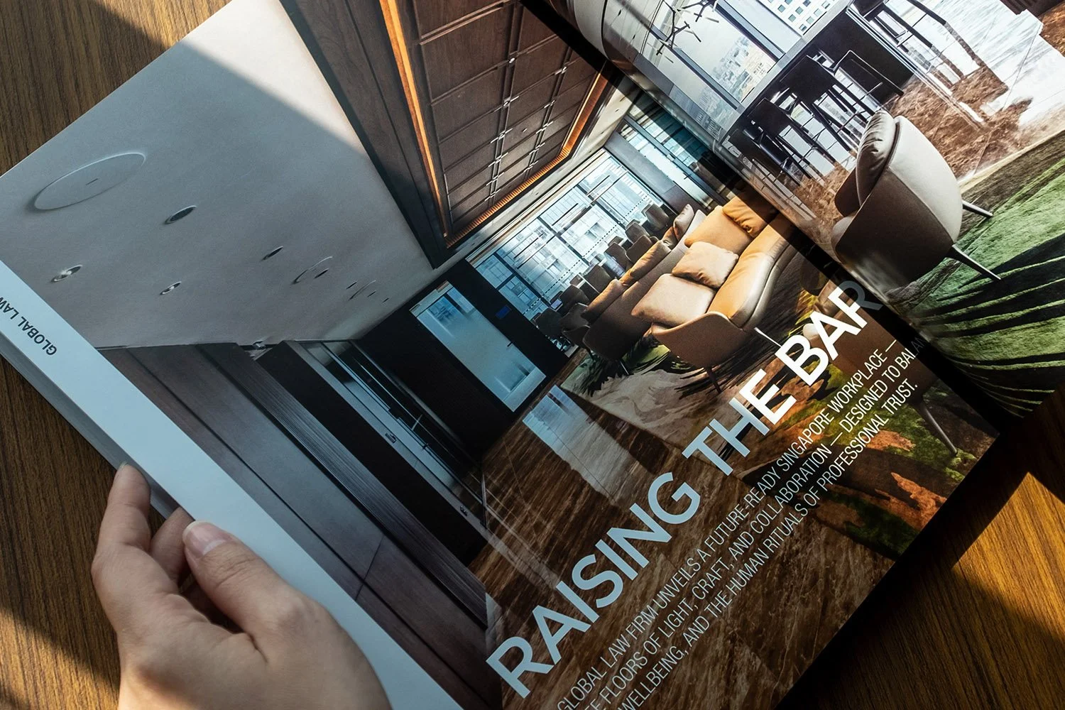 cropped_0008_OC Mag 5.jpg