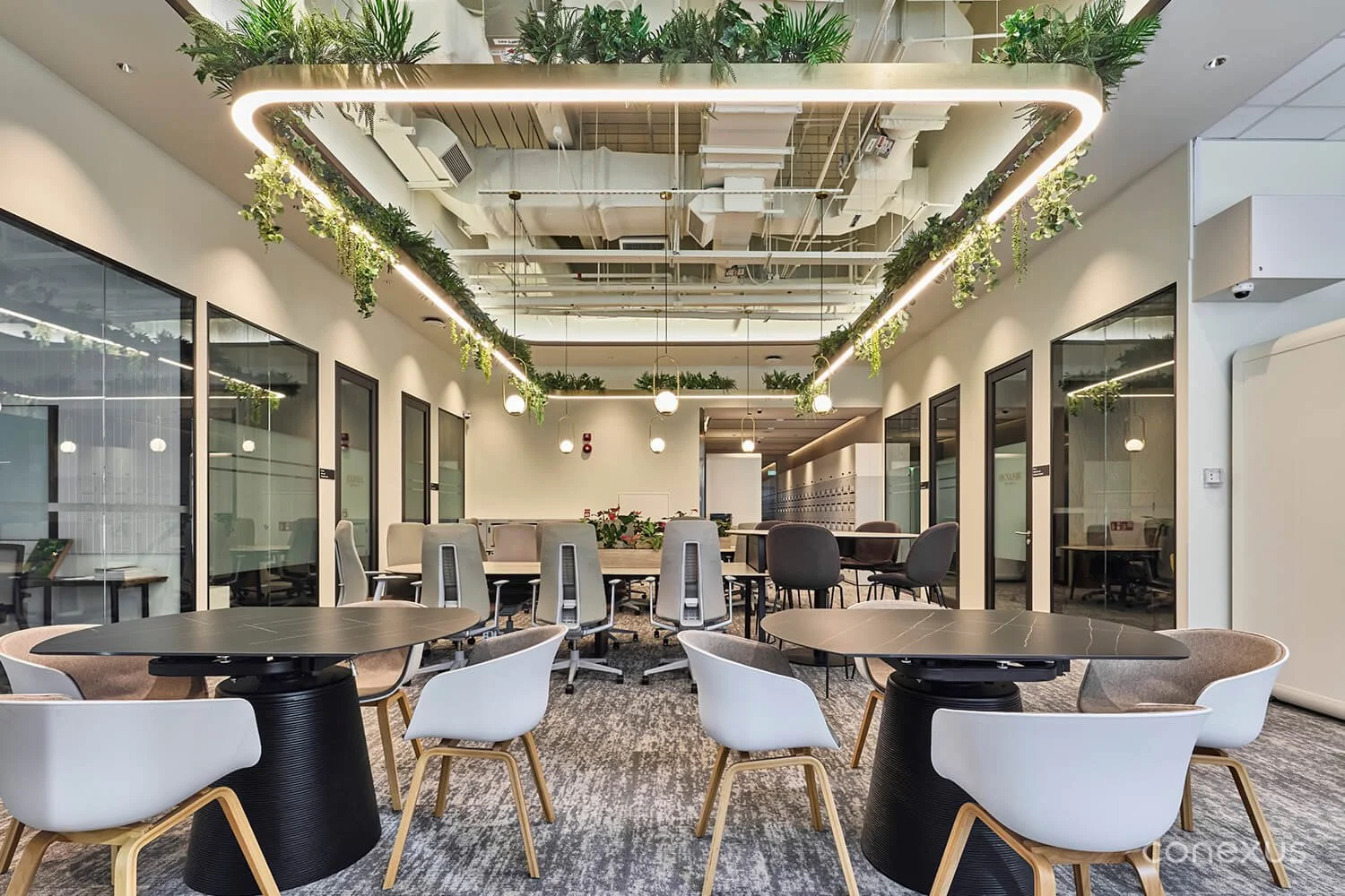  Biophilic elements like greenery, curved accents, layered lighting, and wooden finishes create a warm and inviting atmosphere. 