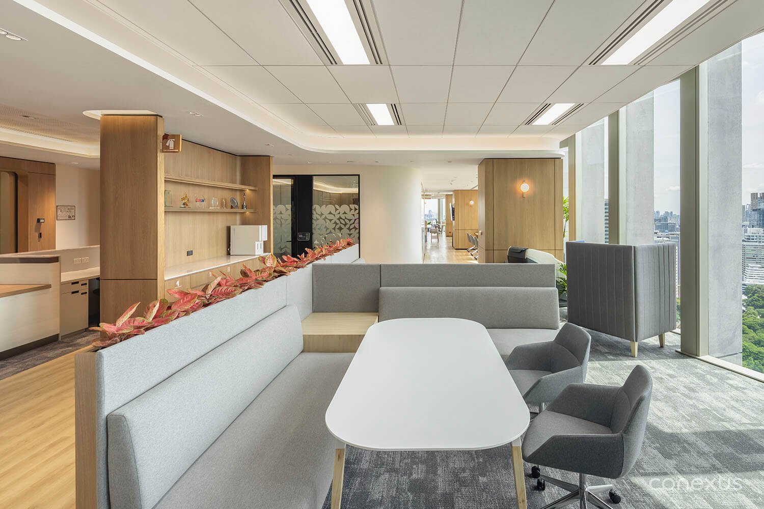  Common areas are positioned along the façade, so daylight and greenery reach across the office floor. 