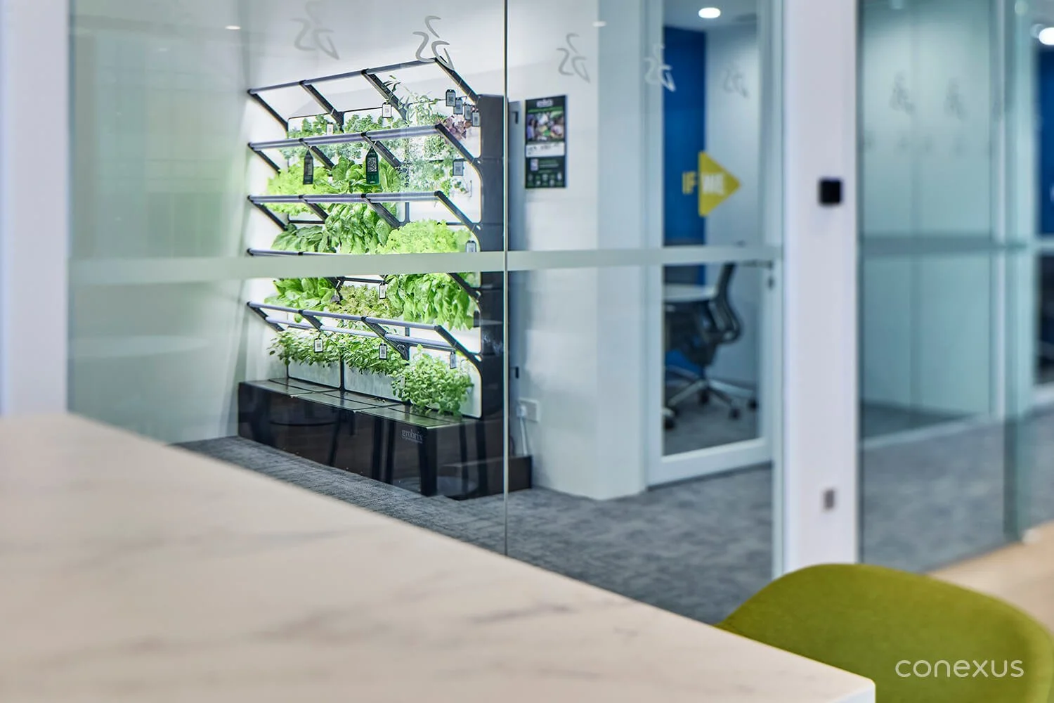  Designed as both an amenity and a shared experience, the Grobrix vertical farming wall is integrated into the workplace design to enable staff to grow and harvest fresh herbs and greens within the workplace. 