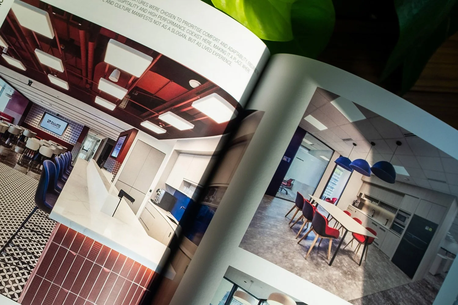 cropped_0004_OC Mag 9.jpg