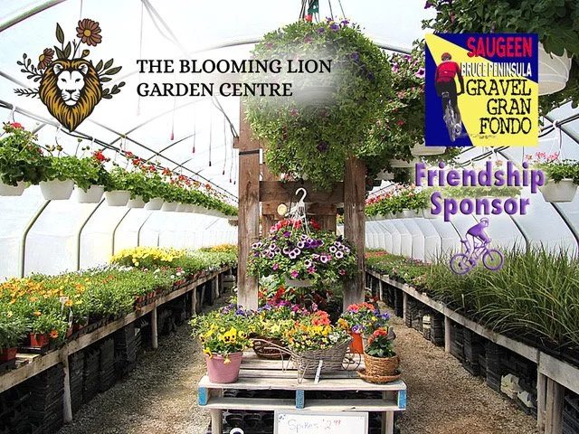 The Blooming Lion