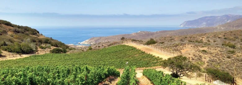 wsr_el-rancho-overlook-slide.jpg