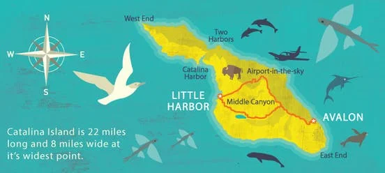 little-harbor-outback-map_52114.jpg