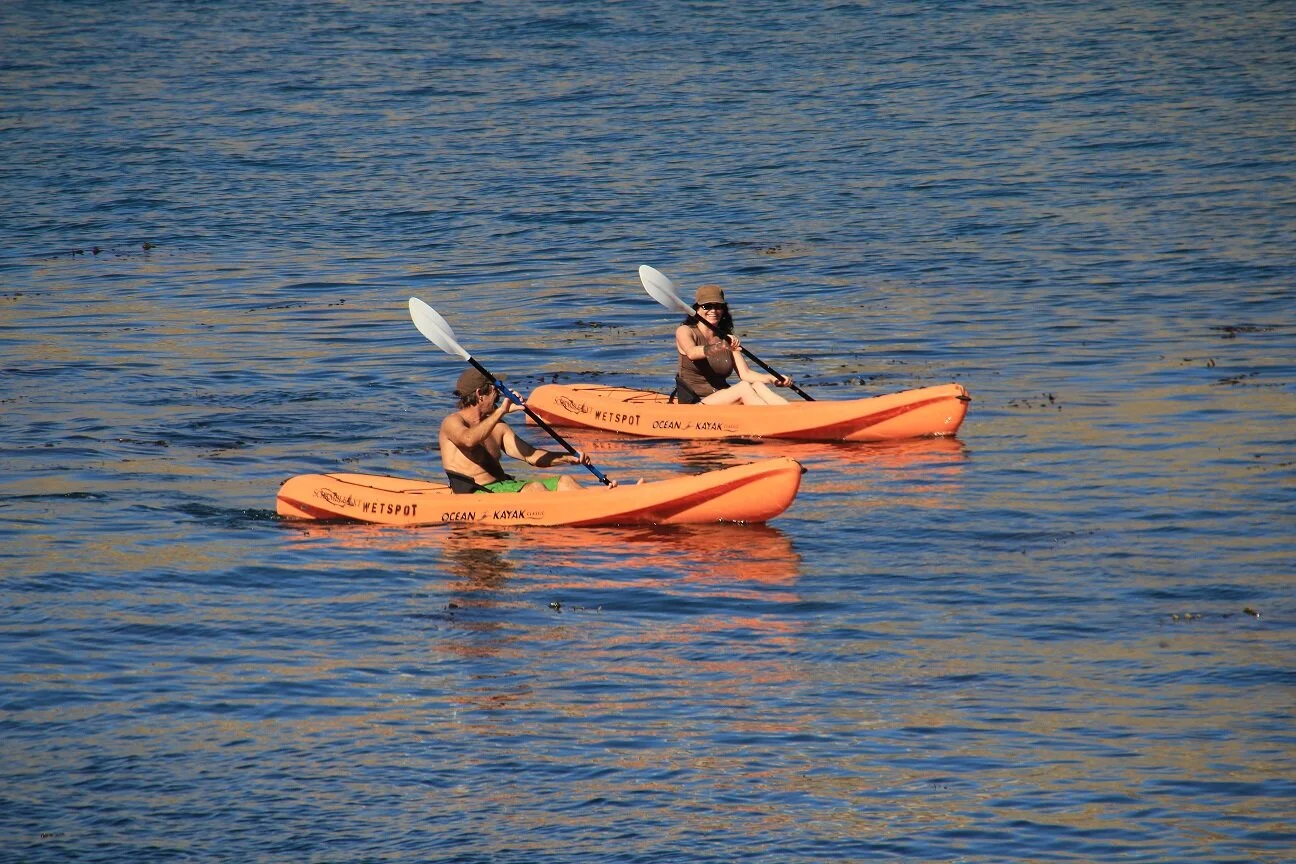 Things To Do In Catalina Island (For Active Folks!)