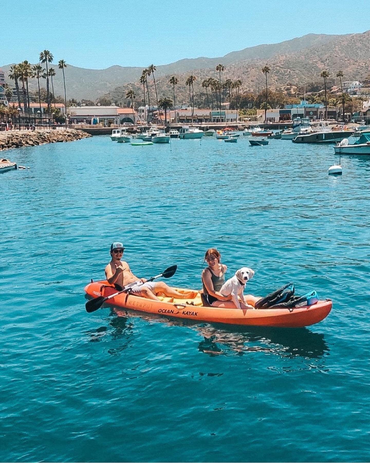 Planning a fun-filled trip with your pal?🐾 Our kayaks are pup-friendly.🐶🐾

➡️Book your kayak adventure today 📲 

🔸 We recommend bringing a pet life vest for your dog when paddling.

📸@byclairenoel

#wetspotrentals #catalinaisland #visitcatalina