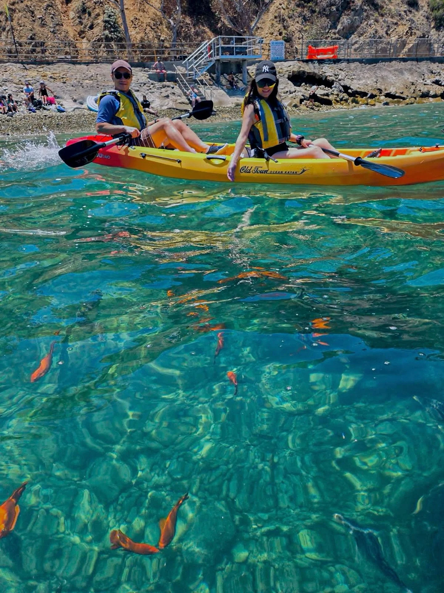 Join us for an unforgettable guided kayak adventure to Lover&rsquo;s Cove Marine Preserve, one of Catalina Island&rsquo;s most picturesque locations. 🚣&zwj;♂️✨

Paddle through crystal-clear waters, explore stunning marine life, enjoy the serene beau