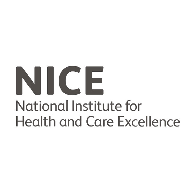 nice-logo.png