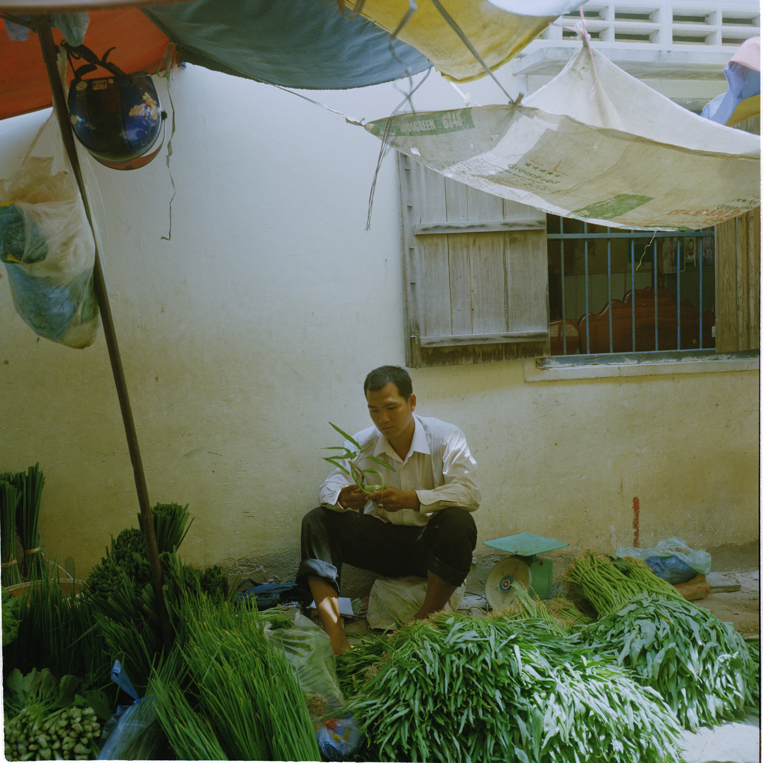 2011_06_01_cambodia_r23_f3_6x6.jpg