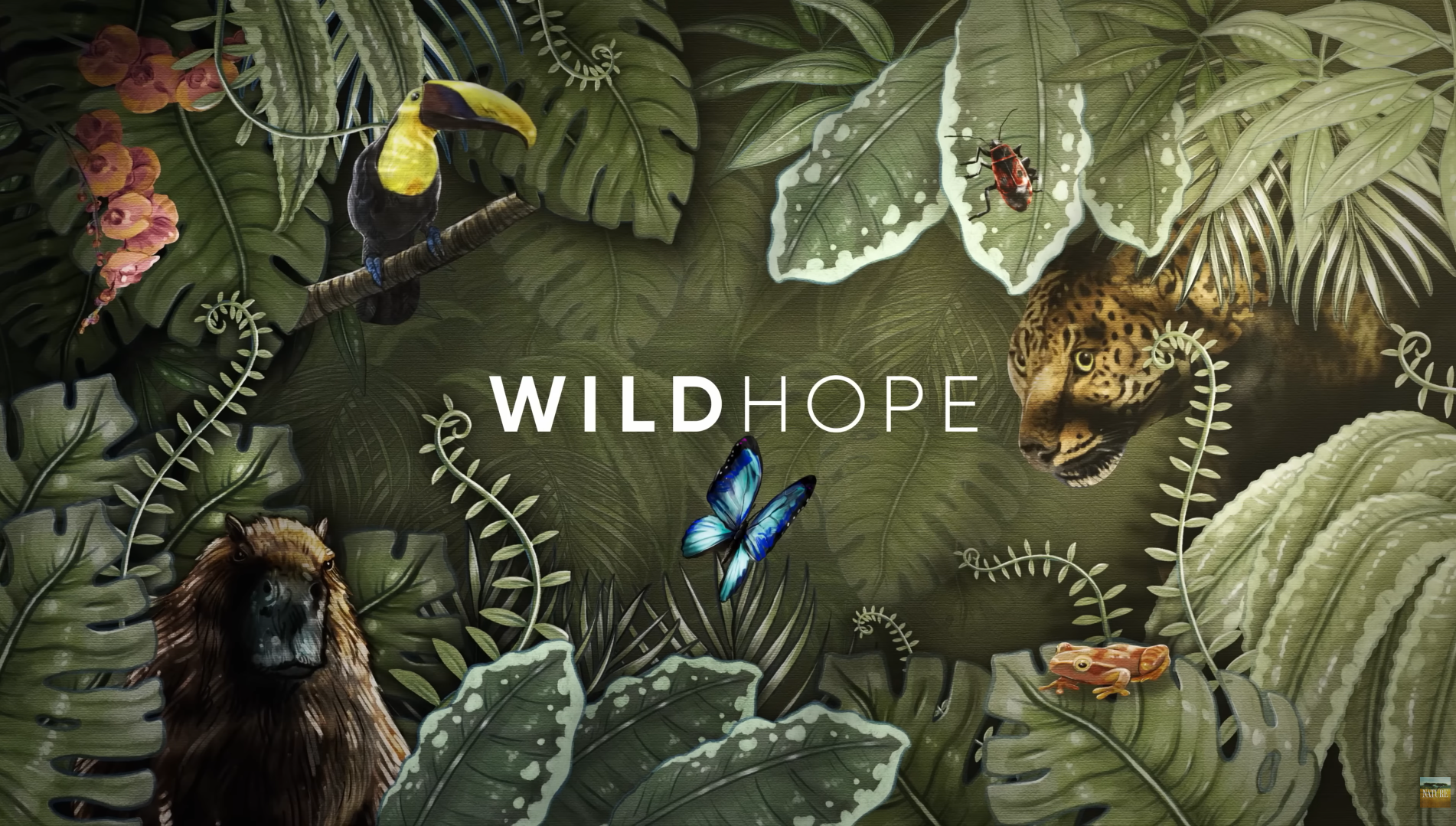 Wild Hope (PBS America)