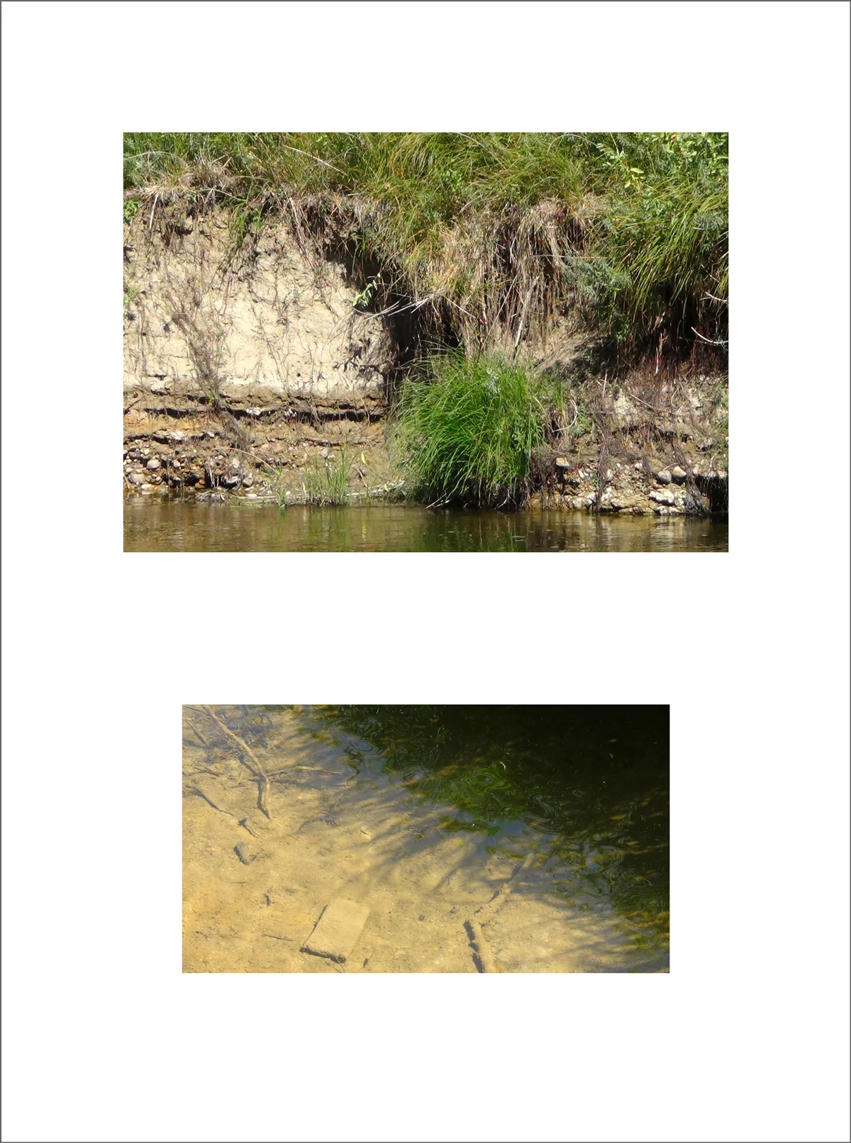 Creek Shallows - 2012 Archival digital print on paper from video still 30 in. x 22 in.