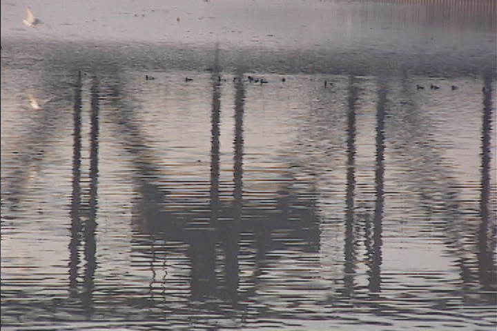 6j_Cuyahoga ducks brideg reflections 2 Sequence 01.00_05_54_00.Still031.jpg