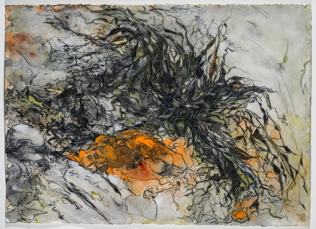   Cross Currents –  2023 Litho-ink bar rubbings of fishing nets on paper, with watercolor and color-pencil 15.25” x 21”  &nbsp;&nbsp;&nbsp;&nbsp;&nbsp;&nbsp;&nbsp;&nbsp;&nbsp;&nbsp;&nbsp;. 