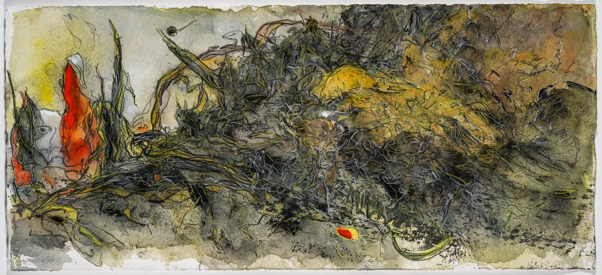   Defying Odds  – 2023 Litho-ink bar rubbings of fishing nets on paper, with watercolor and color-pencil  10” x 22”  &nbsp;&nbsp;&nbsp;&nbsp;&nbsp;&nbsp;&nbsp;&nbsp;&nbsp;&nbsp;&nbsp;  &nbsp;&nbsp;&nbsp;&nbsp;&nbsp;&nbsp;&nbsp;&nbsp;&nbsp;&nbsp;&nbsp