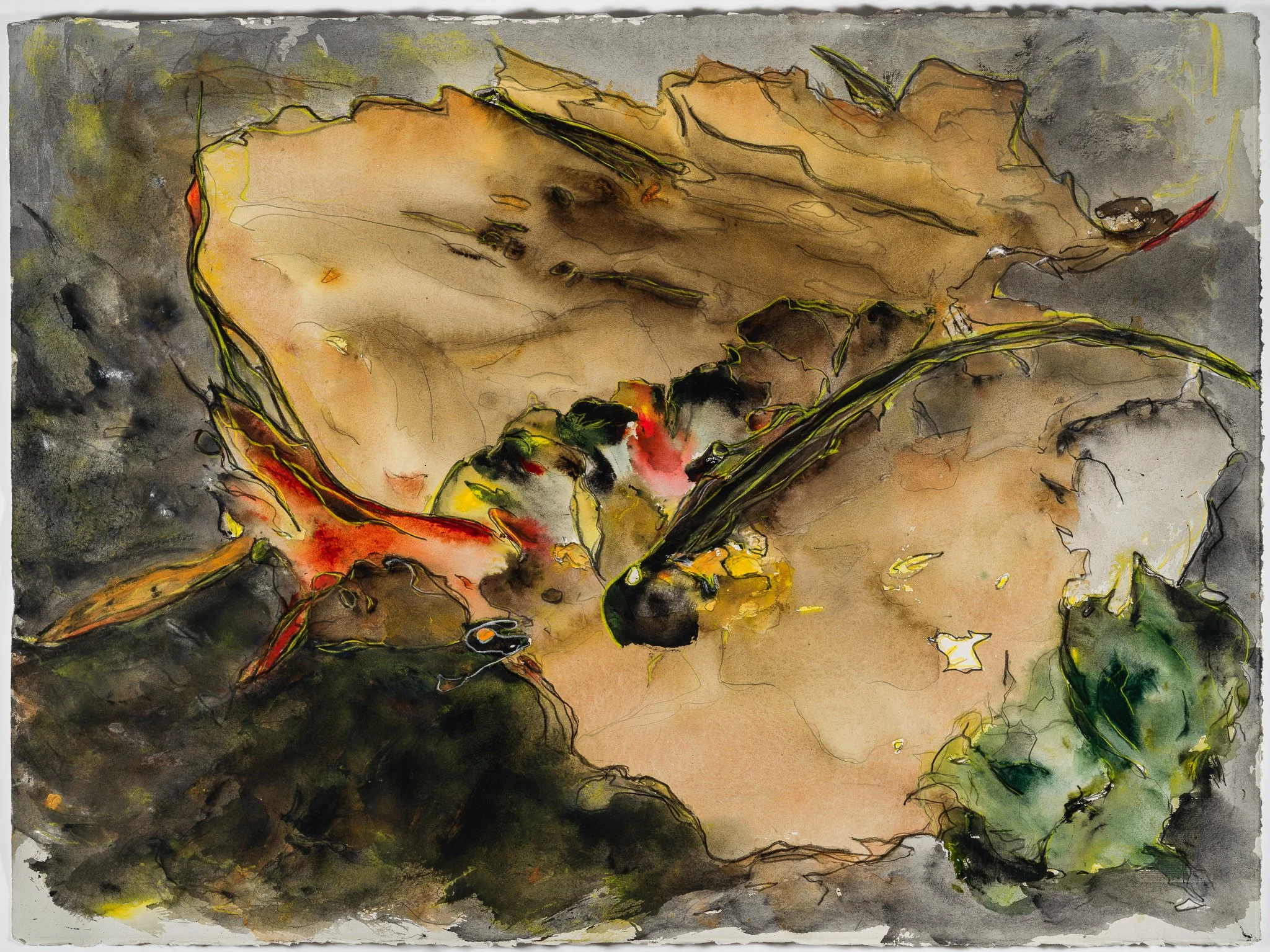   Death and Transfiguration:&nbsp; An Homage to the Painted Turtle  -02 – 2023 Watercolor and color pencil on paper 22” x 30” 