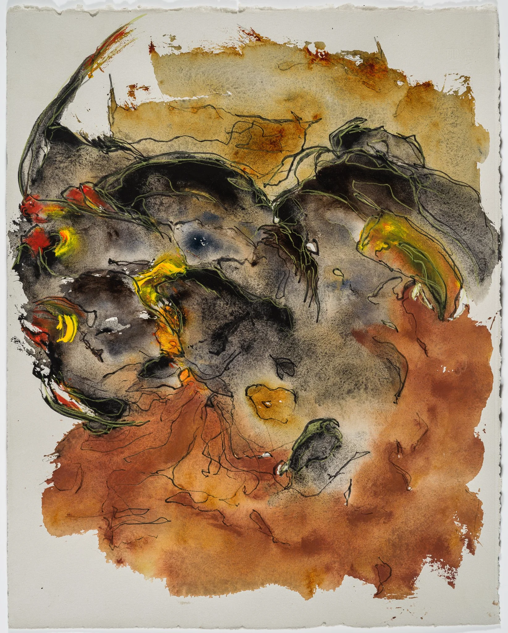   Death and Transfiguration:&nbsp; An Homage to the Painted Turtle  -06 – 2023 Watercolor and color pencil on paper 19” x 15” 