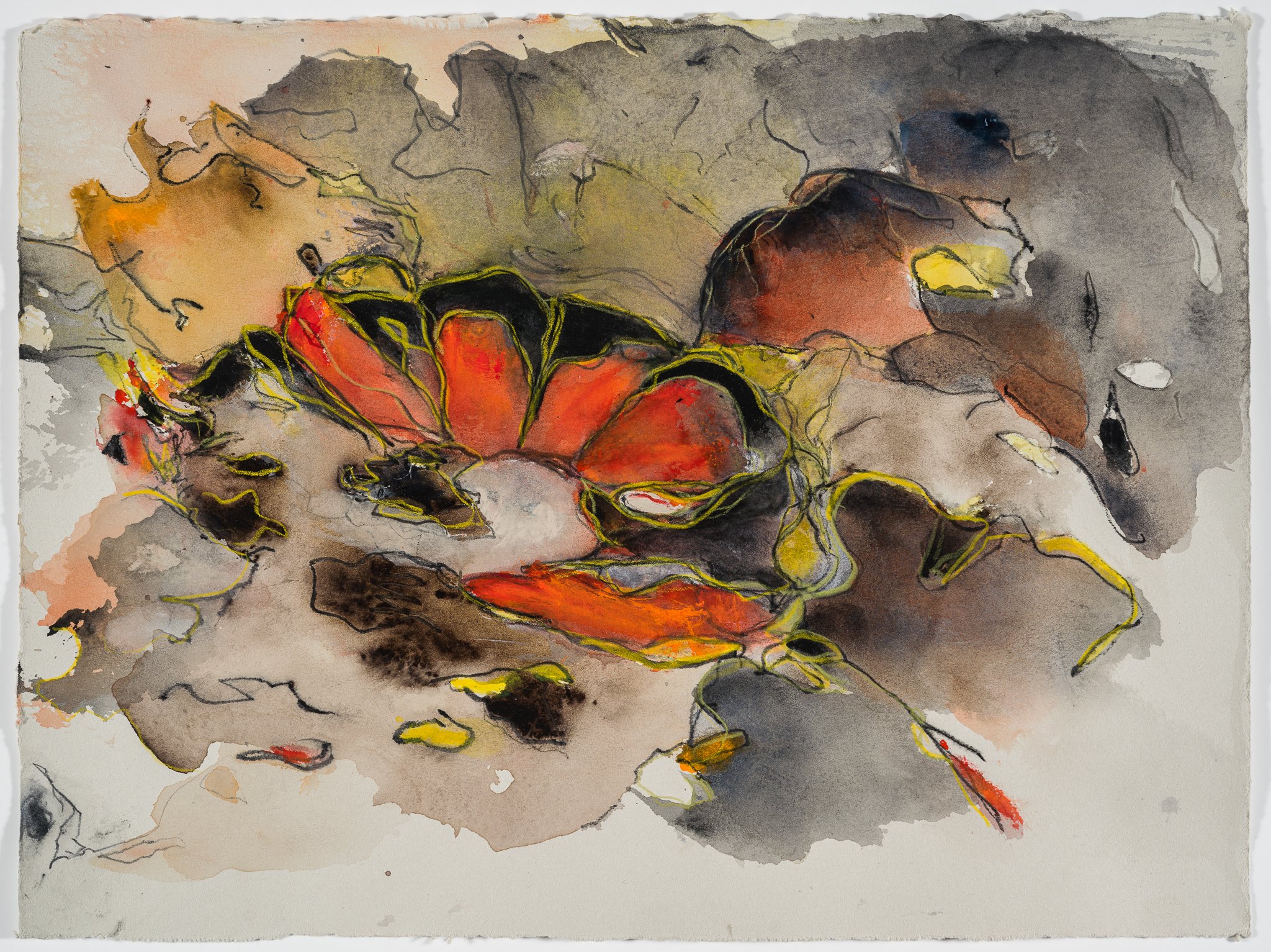   Death and Transfiguration:&nbsp; An Homage to the Painted Turtle  -05 –&nbsp;2023  Watercolor and color pencil on paper 11” x 15” 