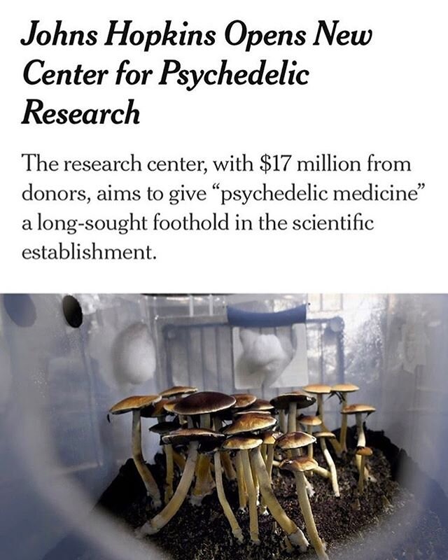 On Wednesday, Johns Hopkins Medicine announced the launch of the Center for Psychedelic and Consciousness Research, to study compounds like LSD and psilocybin for a range of mental health problems, including anorexia, addiction and depression. 
The c