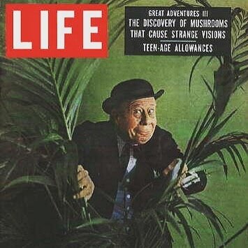 LIFE Magazine feature, May 13th, 1957 Secret of &ldquo;Divine Mushrooms&rdquo;
.
.
Vision-giving mushrooms are discovered in a remote Mexican village by US banker R. Gordon Wasson, who describes the strange ritual and effects of eating them
.
.
#psil