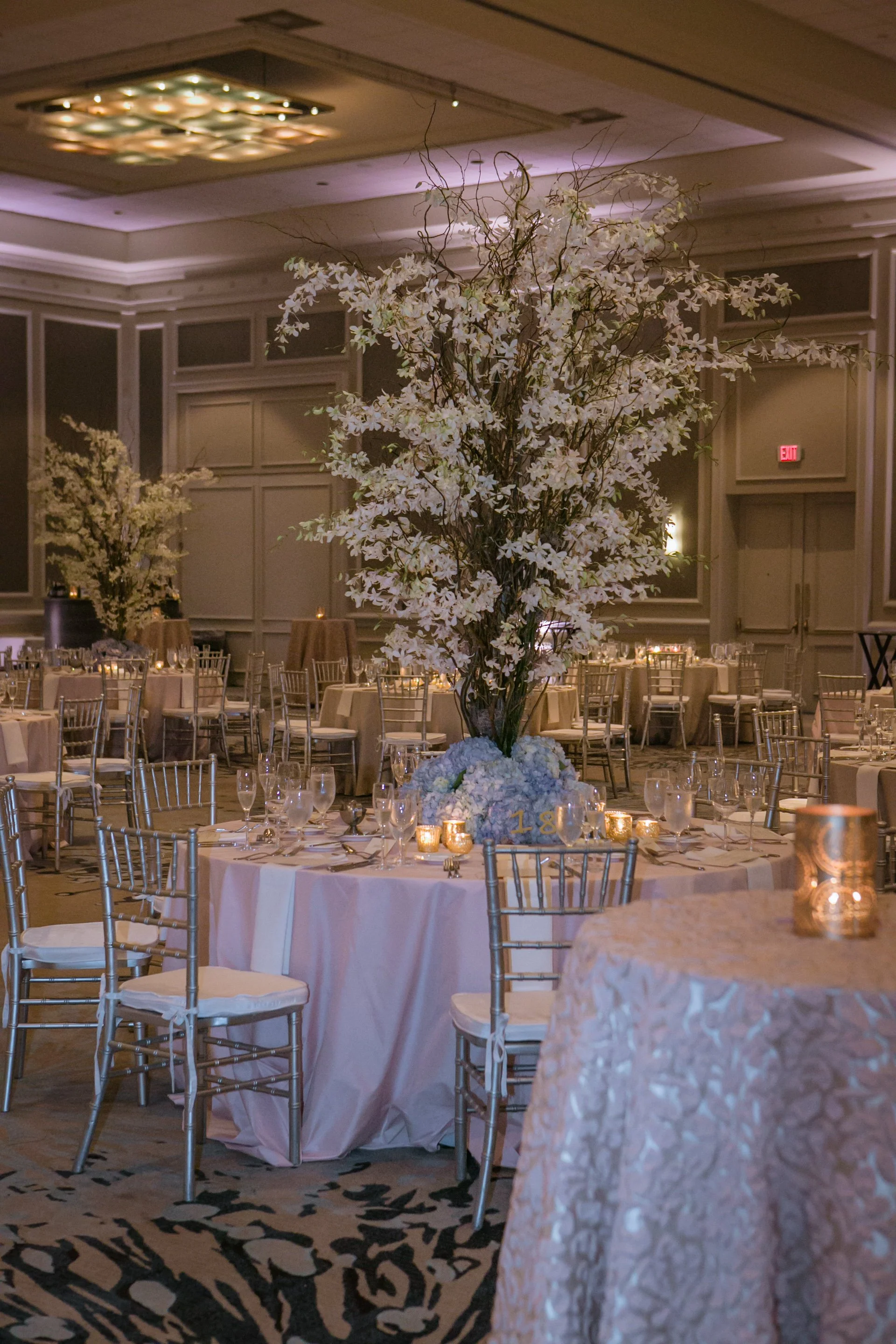 Photo by Lisa Staff Photography