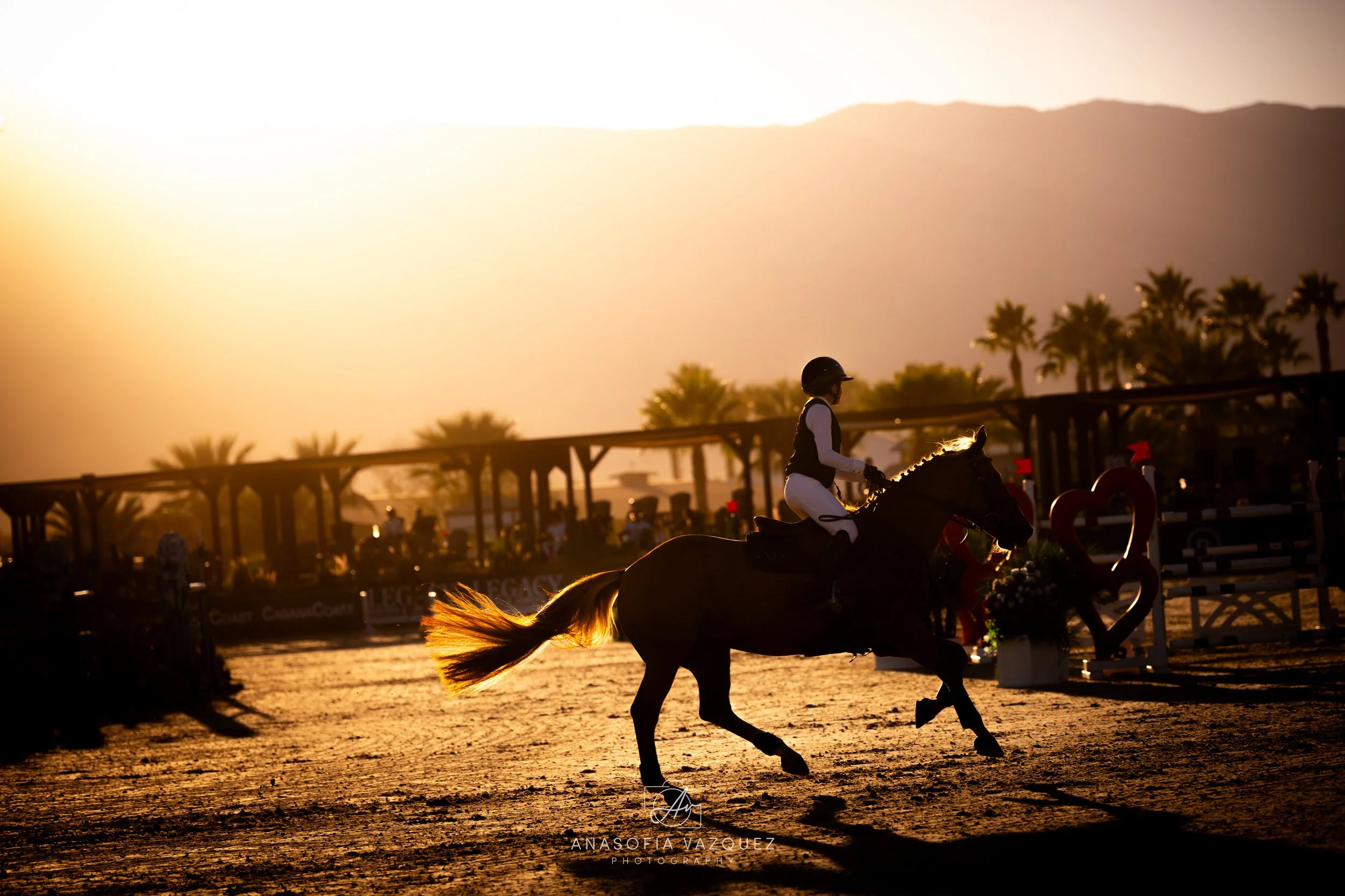 AVPSunshineWeek2_day5-7556-2.jpg