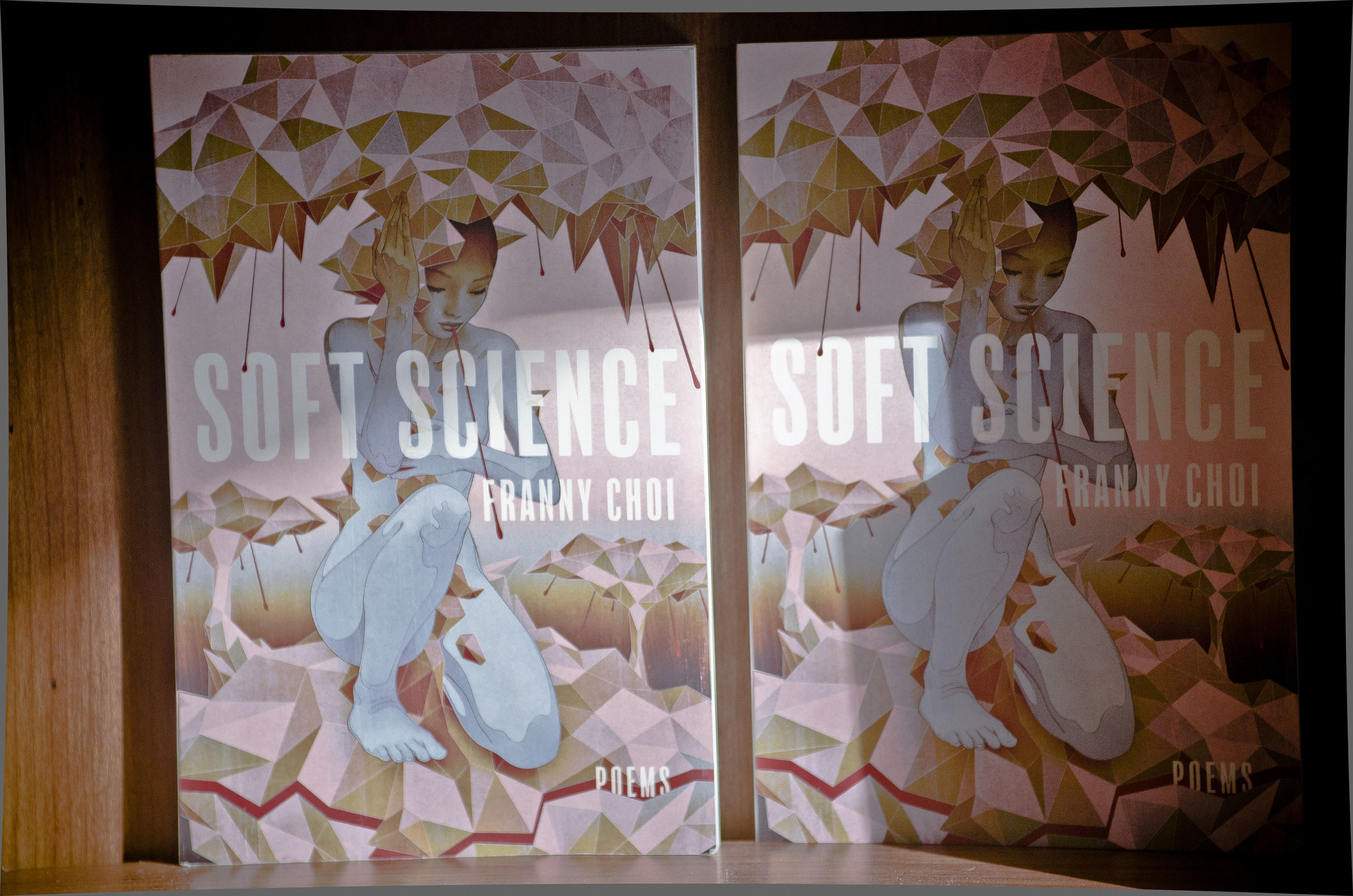 soft science by franny choi