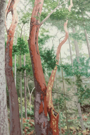 Elaine Coombs, "Hold the Course", 60"x40", acrylic on canvas over panel
