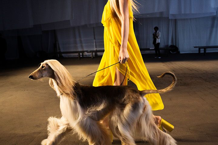 Landon Nordeman, "Jenny Kao (with Afghan)", archival pigment print