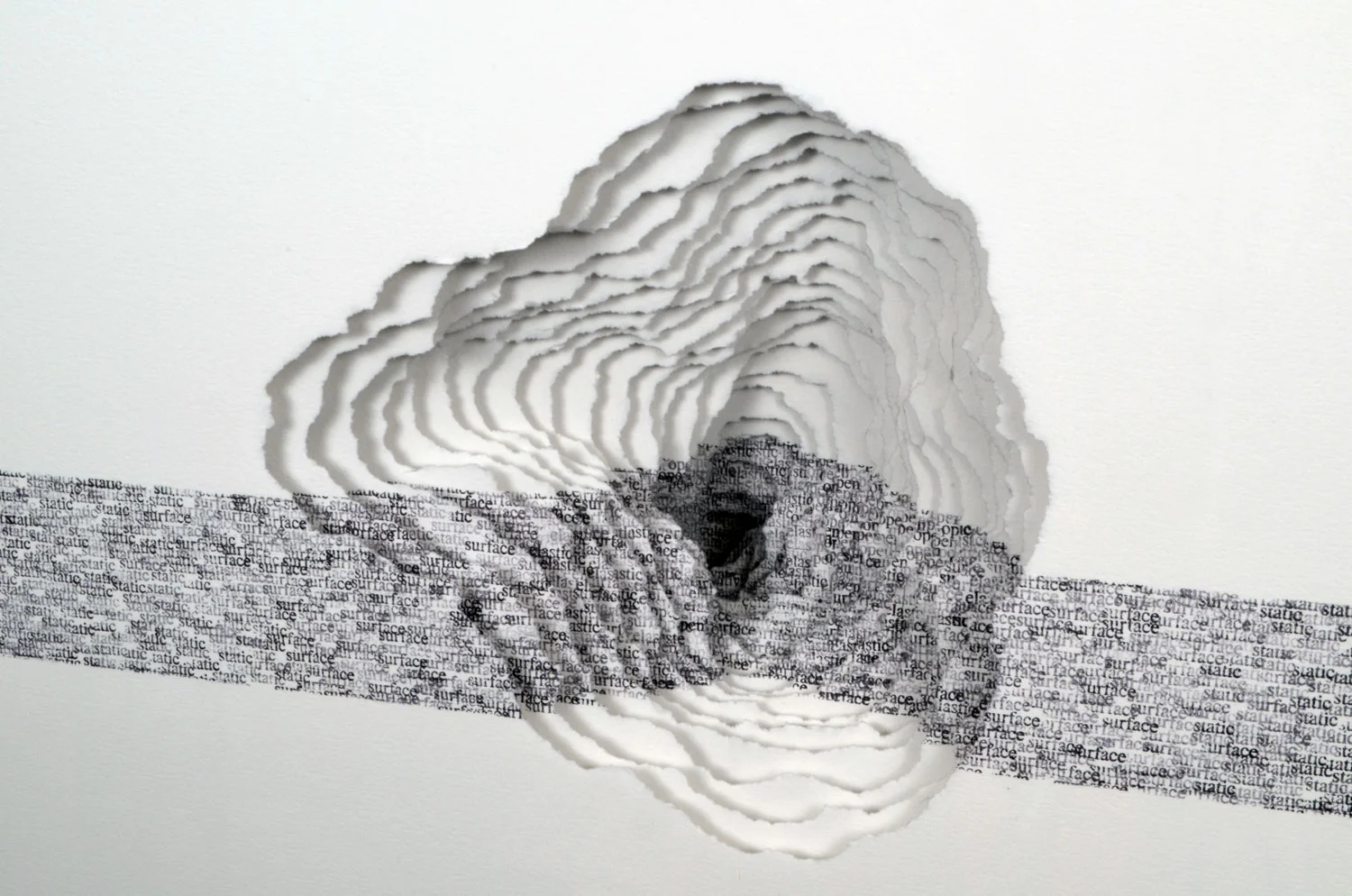 Scott Hazard, "Cultivate" (detail)